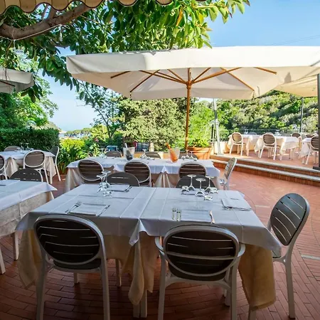 安娜酒店 酒店 3*