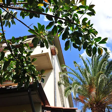 Anna 3* פטובאיה