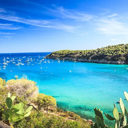 安娜酒店 酒店 3*