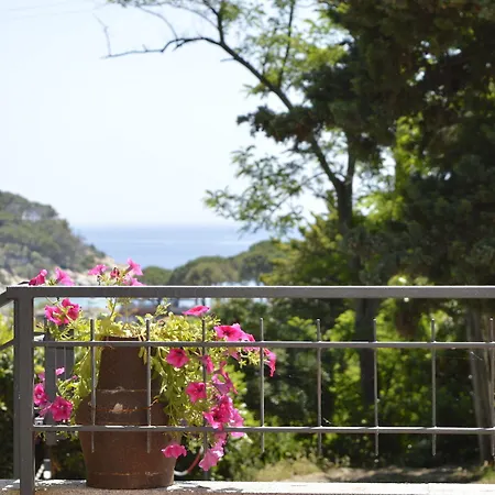 מלון Anna פטובאיה