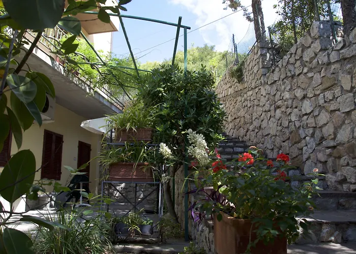 Anna فيتوفايا