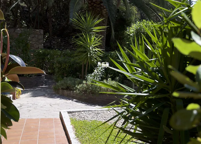 Anna فيتوفايا