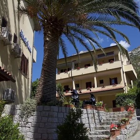 Hotel Anna 3*